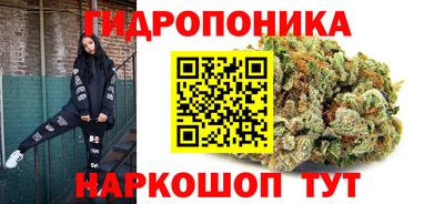 стафф Заводоуковск