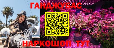 гашик Заволжье