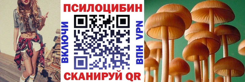 Галлюциногенные грибы ЛСД  где купить наркоту  Кушва 