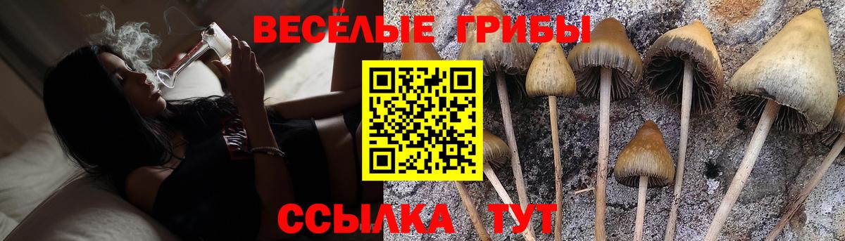 Кушва  Галлюциногенные грибы Cubensis  Вход с VPN 